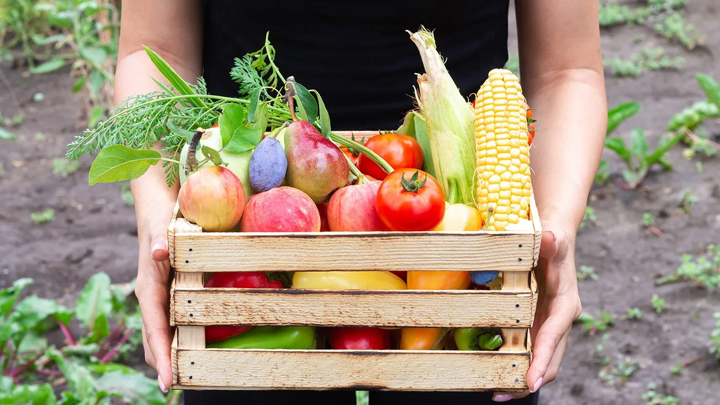 Farm to Fork